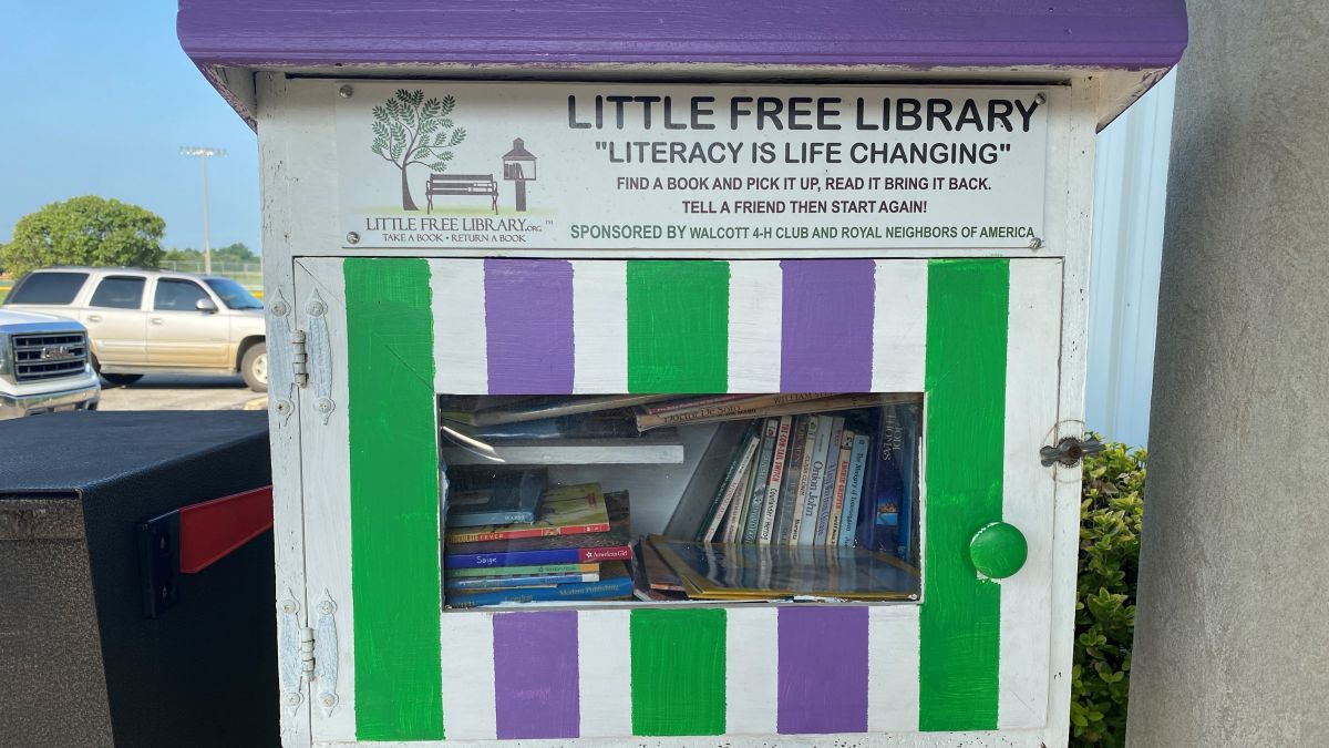 Little Free Library